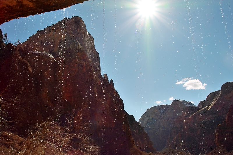 weeping rock im Zion-Nationalpark weeping rock im Zion-Nationalpark